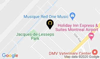 Cargo S D I Logistique Inc in Dorval map