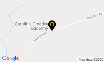 Carolin's Creative Taxidermy in Quinte West map