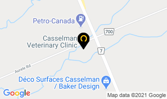 Casselman Veterinary Clinic in Casselman map
