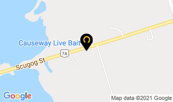 Causeway Live Bait in Drummondville map