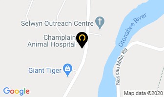 Champlain Animal Hospital in Peterborough map
