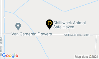 Chilliwack Animal Safe Haven in Chilliwack map