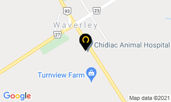 Class Act Professional Dog Grooming in Elmvale map