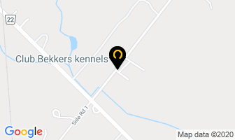 Club Bekkers Kennels in Burlington map