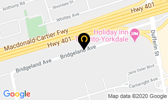 Cohen & Master Tree & Shrub Services in North York map