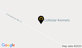 Collistar Kennels in Kincardine map