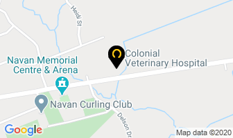 Colonial Veterinary Hospital in Guelph map