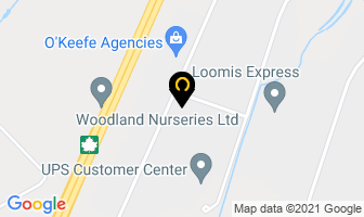 Concord National Inc in Mount Pearl map