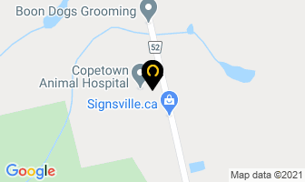 Copetown Animal Hospital in Hamilton map
