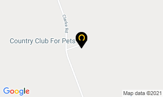 Country Club For Pets Ltd in Arva map