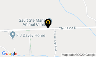 Dave's Archery Shop in East Angus map