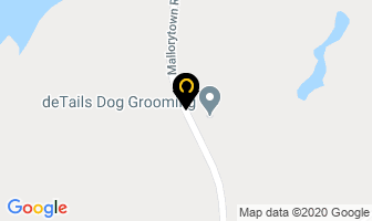De Tails Dog Grooming in Mallorytown map