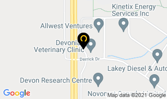 Devonian Veterinary Clinic in La Baie map