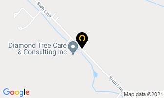 Diamond Tree Care & Consulting Inc in Halton Hills map