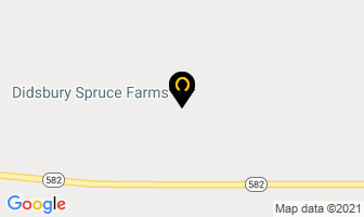 Didsbury Spruce Farms in Brant map