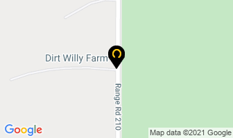 Dirt Willy Farm in Ardrossan map