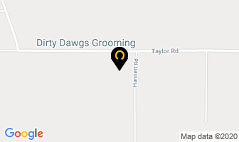 Dirty Dawgs Grooming in Agassiz map
