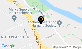Discount Auto Wreckers in Kitchener map