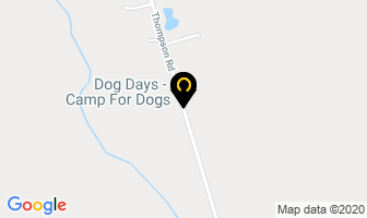 Dog Days Camp For Dogs in Selkirk map