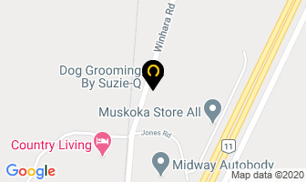 Dog Grooming By Suzie-Q in Gravenhurst map