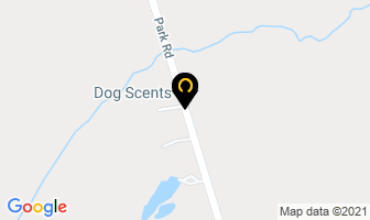 Dog Scents in Amqui map