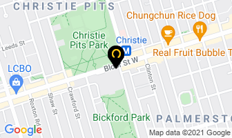 Downtown Toronto Cat Clinic in Orillia map