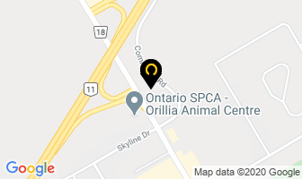 Dr. Van Rassel And Associates in Orillia map