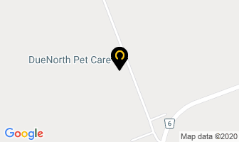 Duenorth Pet Care in Lakefield map