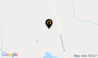 Dundas Dental Hygiene in Hamilton map