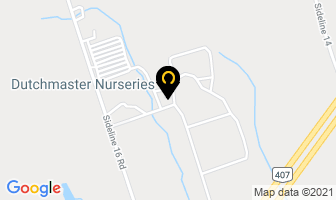 Dutchmaster Nurseries Ltd in Concord map