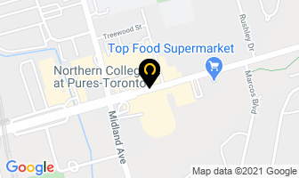 Elgins Automotive Services in Scarborough map