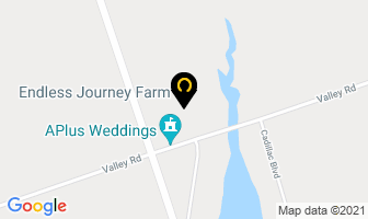 Endless Journey Farm in Kawartha Lakes map