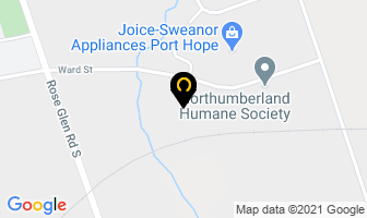 Eric's Auto Body in Port Hope map