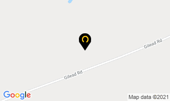 Essential Relaxation in Prince Edward map