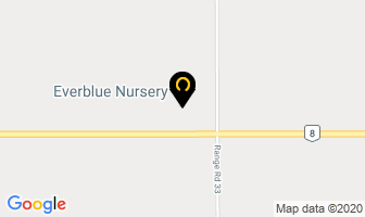 Everblue Nursery in Calgary map
