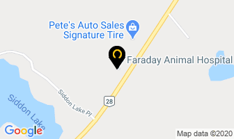 Faraday Animal Hospital in Bancroft map