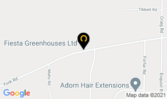 Fiesta Greenhouses Ltd in Gracefield map