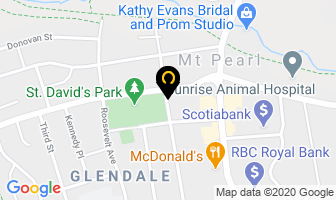 First Street Dental in Mount Pearl map