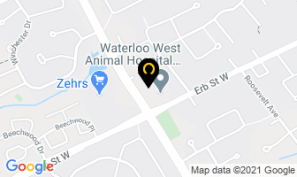 Fischer-Hallman Dental in Saint John map