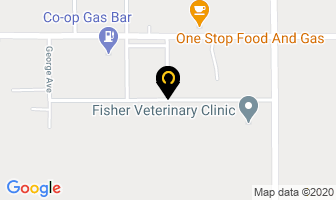 Fisher Veterinary Clinic in Fisher Branch map