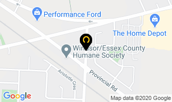 Fletchers Auto Service Ltd in Grand Falls-windsor map