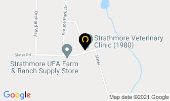 Foothills Resource Services Inc in Strathmore map