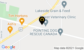 Forest Veterinary Clinic in Westlock map