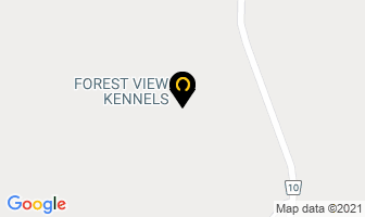 Forest View Kennels in Port Hope map