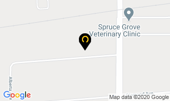 Fountain Tire in Spruce Grove map