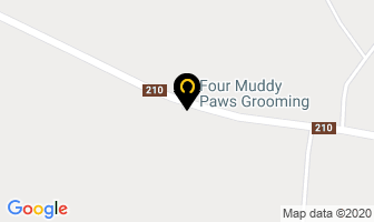 Four Muddy Paws Dog Grooming Spa in Sharon map