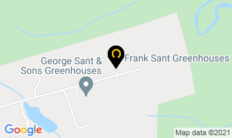 Frank Sant Greenhouses in Vaughan map