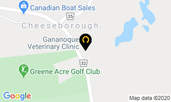 Gananoque Veterinary Clinic in Gananoque map