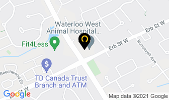 Gatto Public Relation International in Saint John map
