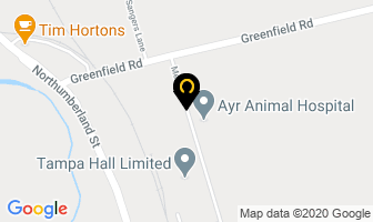 Greulich Auto Repair in Ayr map
